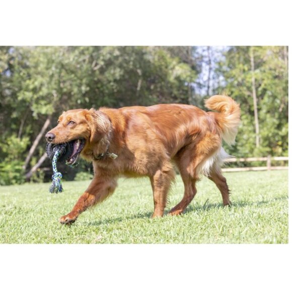 Pet Qwerks TPRNylon Interactive Dog Toys - Picture 2 of 5